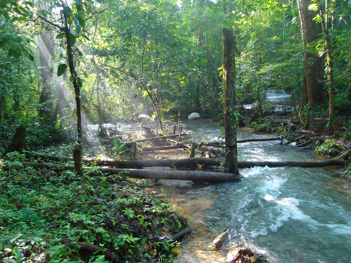 A clear river running through the Lacandon rainforest