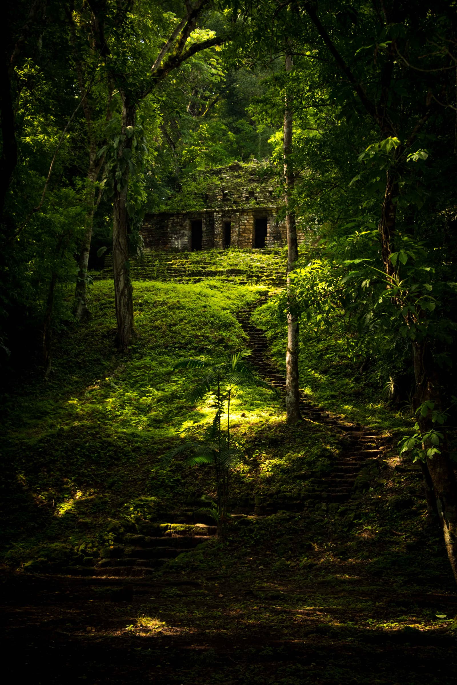 A Maya building half-hidden in the forest at Yaxchilán
