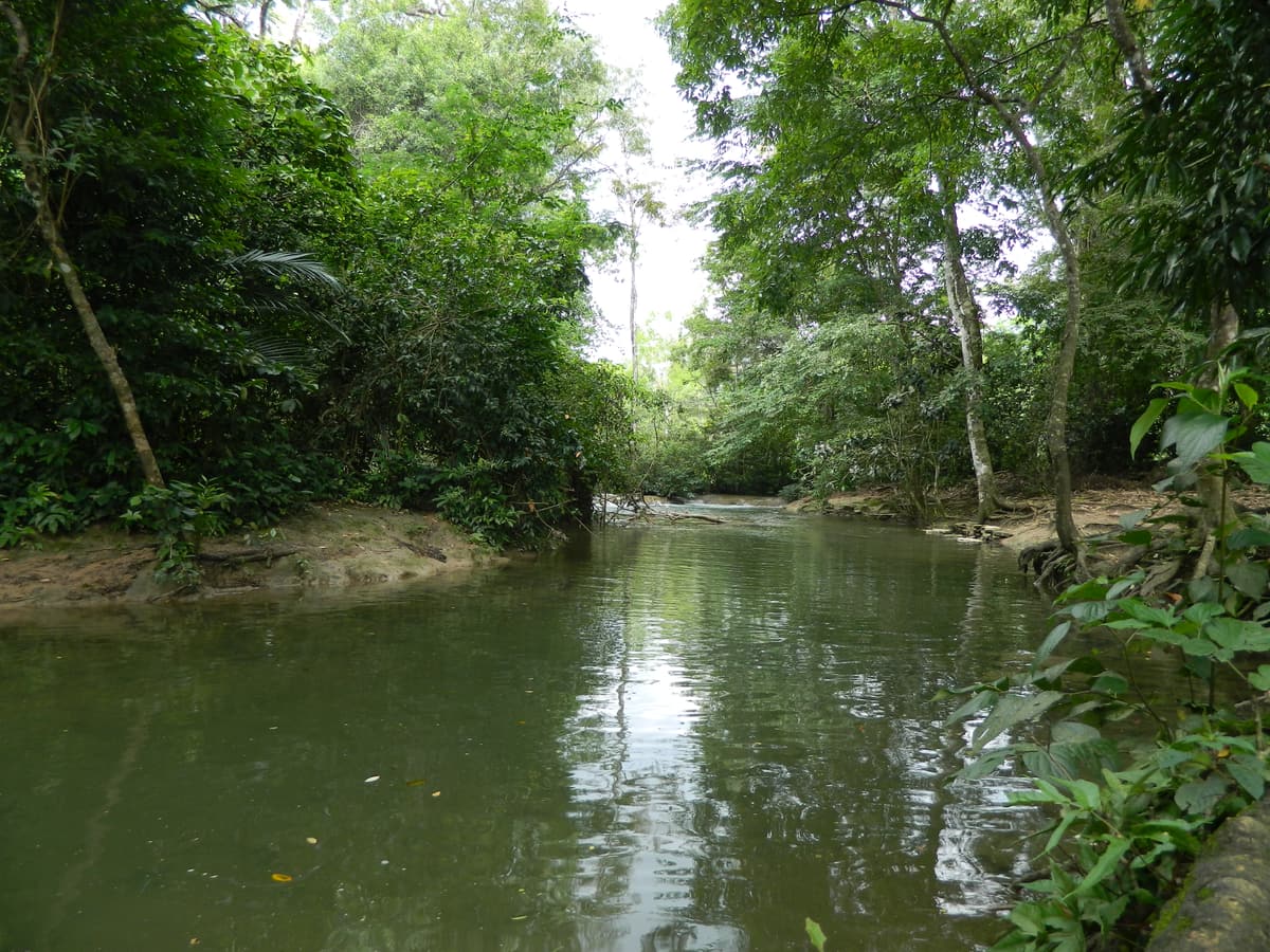 A jungle river at Roberto Barrios near Palenque